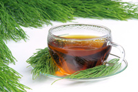 Medicina alternativa-naturoterapía-cola-caballo