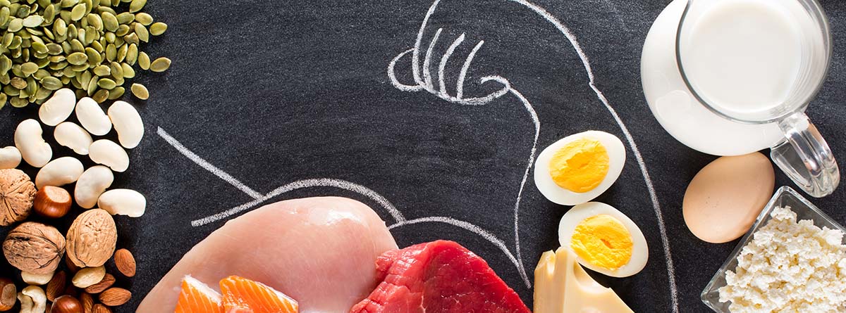 Nutrientes para deportistas: Alimentos ricos en proteínas para culturistas como carne, pescado, lácteos, huevos, trigo sarraceno, avena, nueces, frijoles, semillas de calabaza y semillas de girasol