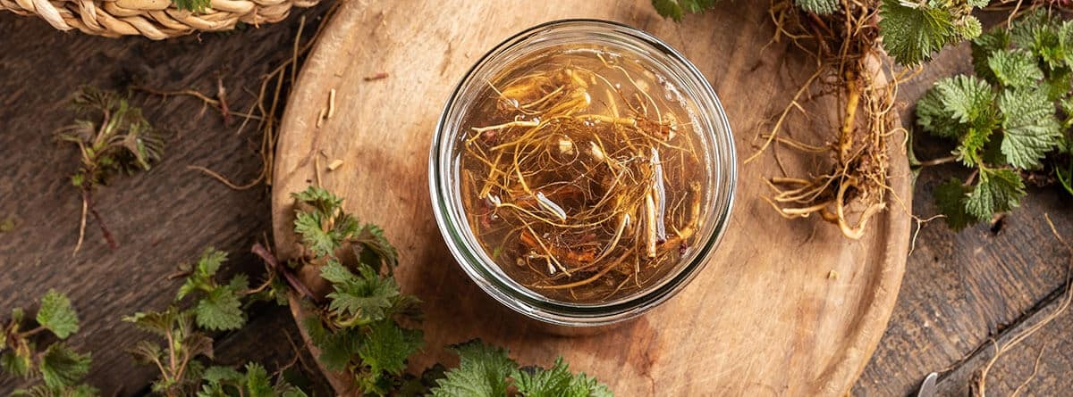 cuenco de cristal con raíces de ortiga y hojas alrededor sobre tozo de madera