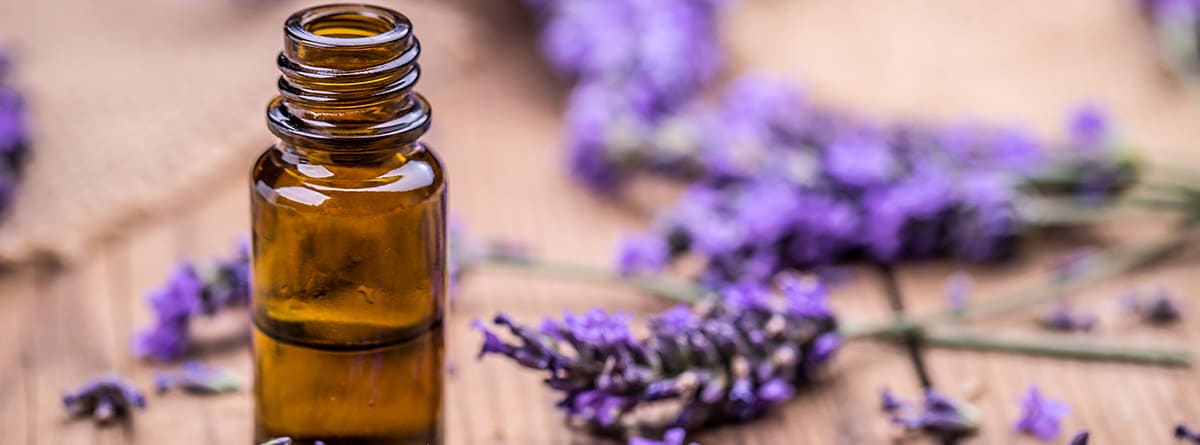 Aceite de hierbas y flores de lavanda sobre fondo de madera