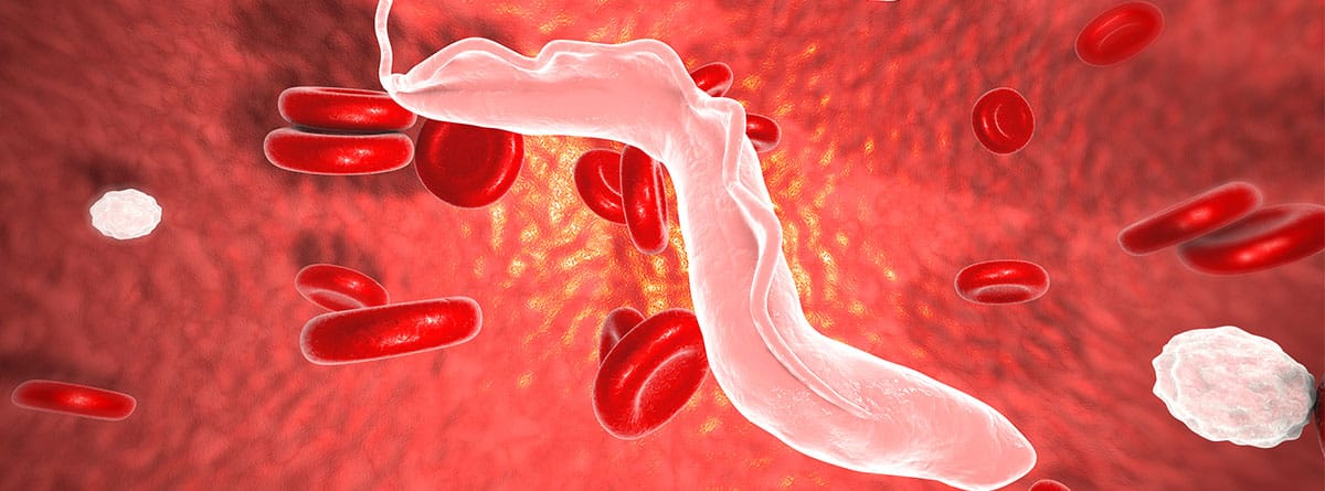 Ilustración 3d de virus tripanosomiasis africana 