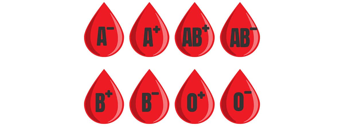 Tipos de sangre